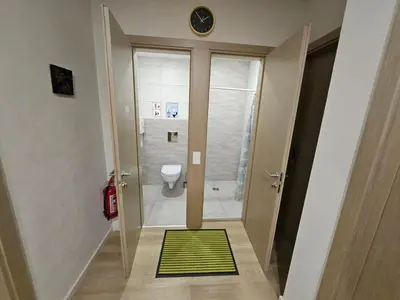 a bathroom with a toilet and a green rug at Kauno apartamentai su balkonu in Kaunas