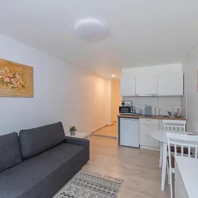 Partizanų studio apartment #3 by Polo Apartments