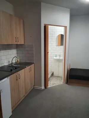 a kitchen with a sink and a door to a bathroom at Sveciu Namai Giles in Alytus