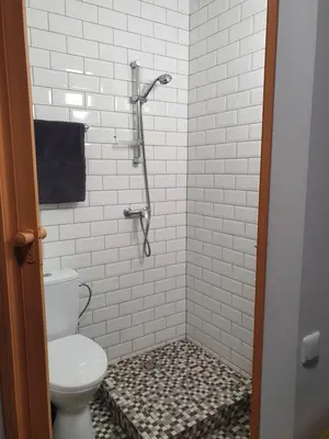 a bathroom with a toilet and a shower at Sveciu Namai Giles in Alytus