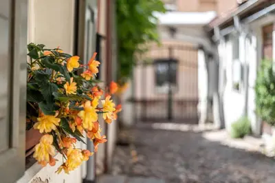 a bunch of yellow flowers hanging from a building at Oldtown Apartment studio #D in Vilnius
