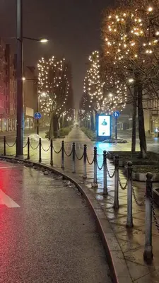 a city street at night with lights on trees at Kaunas Studios - RentA 18 in Kaunas
