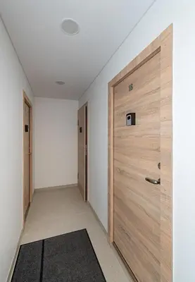 a hallway with a wooden door and a rug at Apartment Dandelion by Polo Apartments in Kaunas