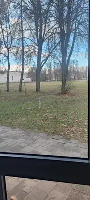 a view from a window of a park with trees at Honey Apartament in Druskininkai