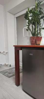 a wooden table with a potted plant on top of it at Amber Apartament in Druskininkai