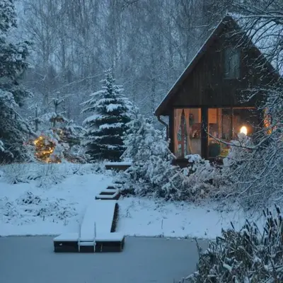 Pond View Cabin
