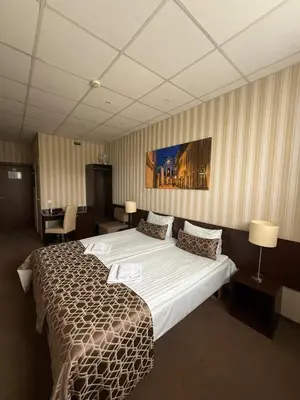 a bedroom with a large bed in a room at Naujamiescio Studio in Vilnius