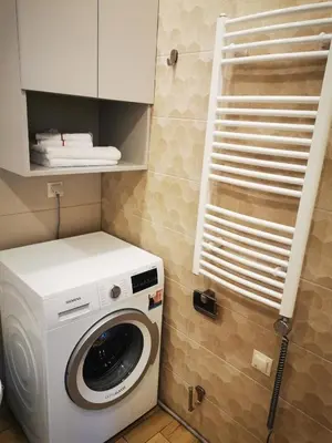 a washer and dryer in a small bathroom at Sun Sonata Apartments 1 in Druskininkai