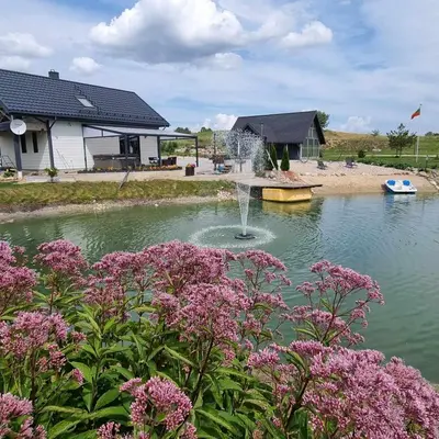 a fountain in a pond in front of a house at Sodyba Pirtis Panarvė in Lazdijai