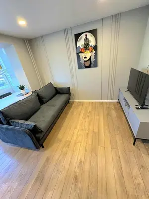 a living room with a couch and a television at Trumpalaikė butų nuoma Kaune prie Klinikų STUDIJA E SELF CHECK IN in Kaunas