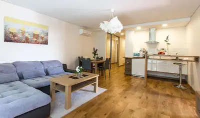 a living room with a couch and a table at Violetos Lux Apartamentai in Druskininkai