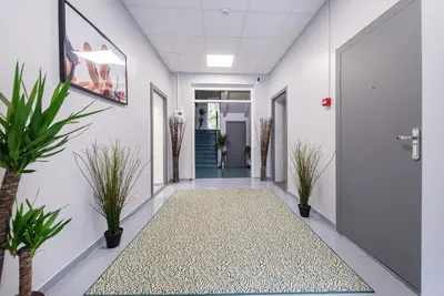 a hallway with potted plants and a door at The house black in Vilnius