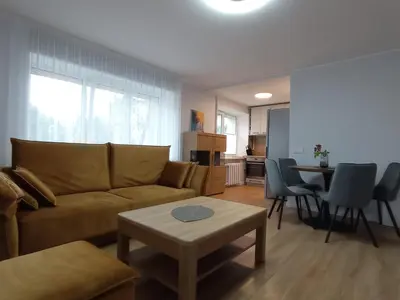 a living room with a couch and a table at TIMO butas in Druskininkai